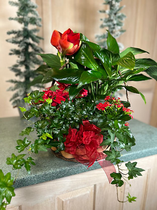 Large Christmas European Garden