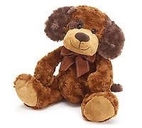 Brown Patch Puppy