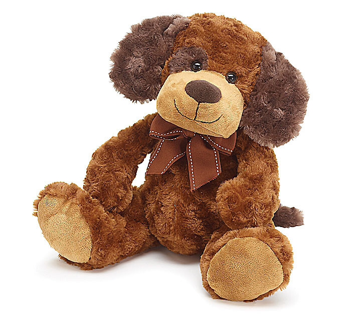 Brown Patch Puppy