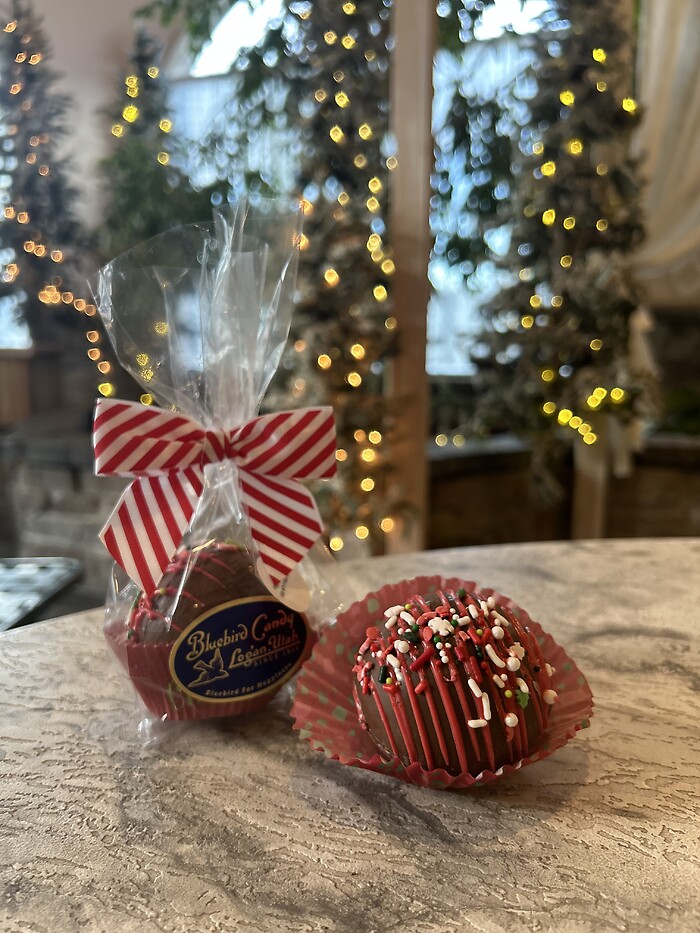 Bluebird Peppermint Marshmallow Hot Chocolate Bomb