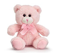 Small Pink Teddy Bear